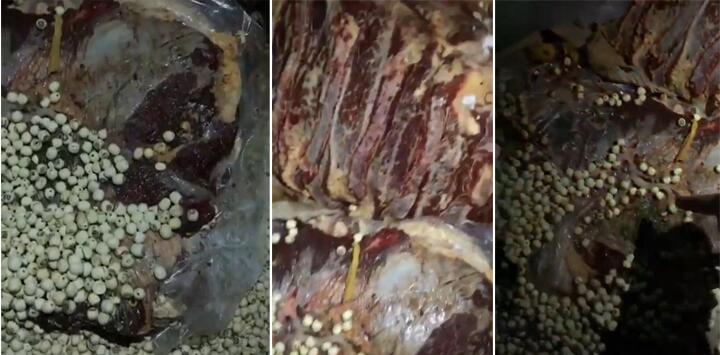 學生食堂大量使用過期肉制品